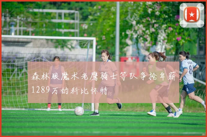 森林狼魔术老鹰骑士等队争抢年薪1289万的科比怀特